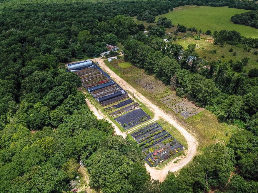 6184 County Road 41515, Athens, TX 75751 - photo 1