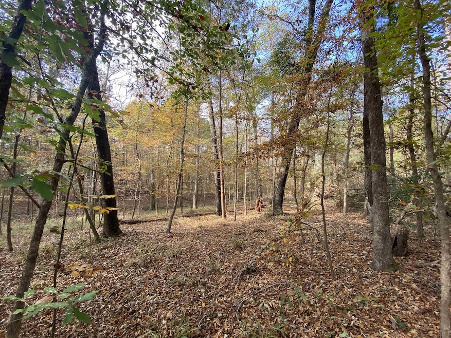 TBD Driftwood, Jefferson, TX 75657 - photo 1