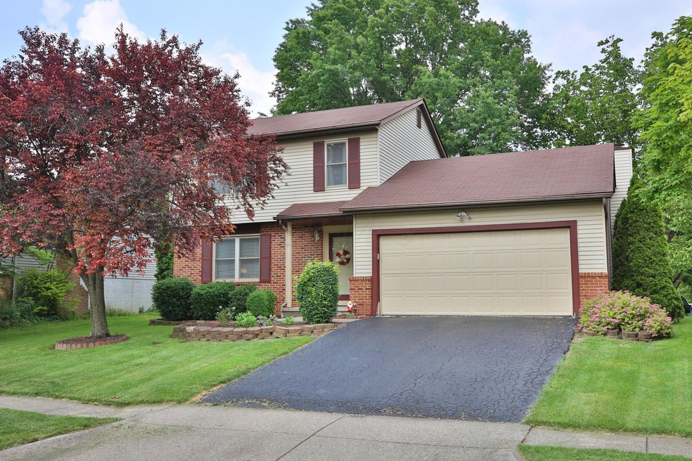 4914-Dunlap-01a