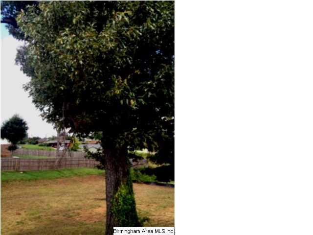 Great lot to build a modest home with great sized 