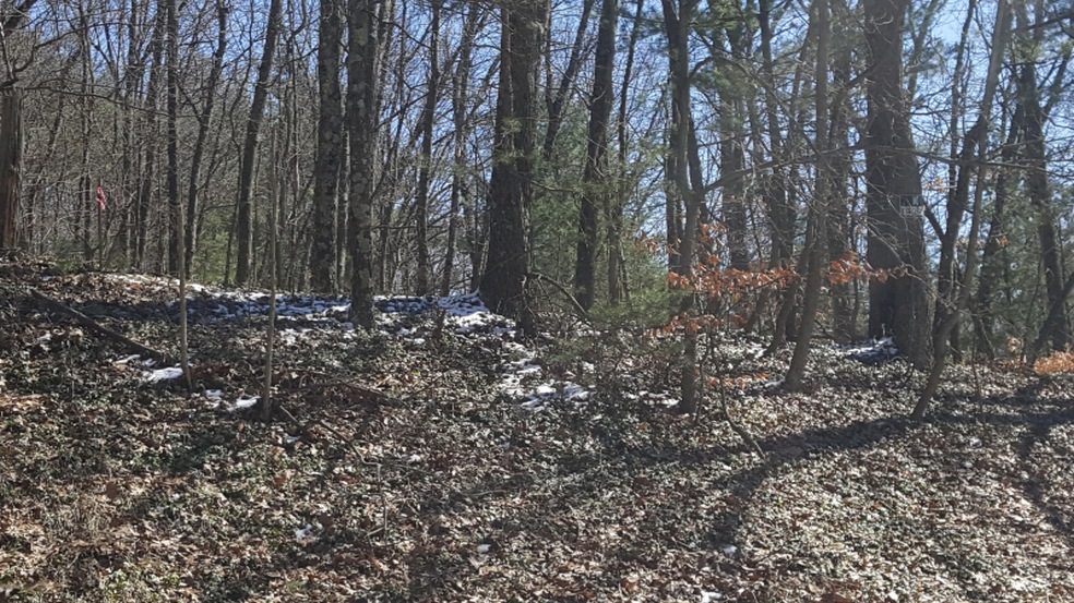 20170316_134650