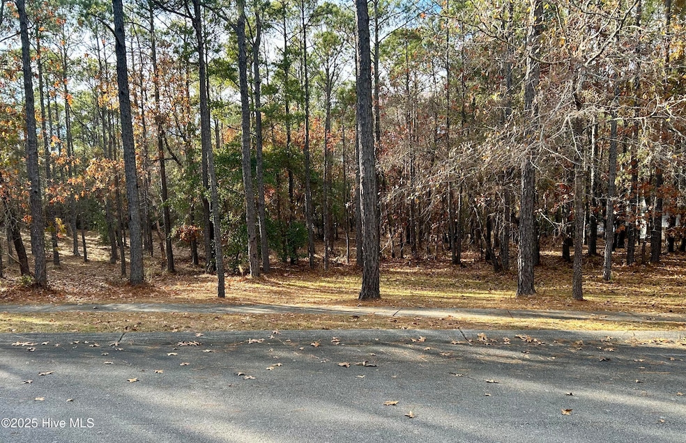 2905 N Magellan Blvd SE, Bolivia, NC 28422 - photo 1