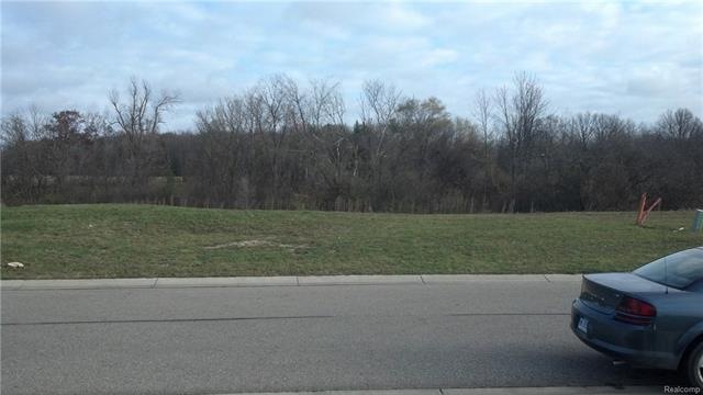 Meadow Walk 84 - Daylight Lot