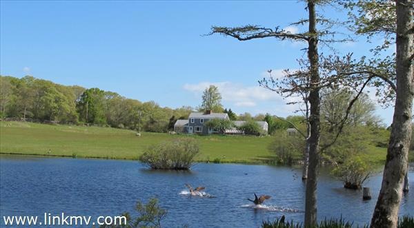 5 Murphys Rd, West Tisbury, MA 02575 - photo 1