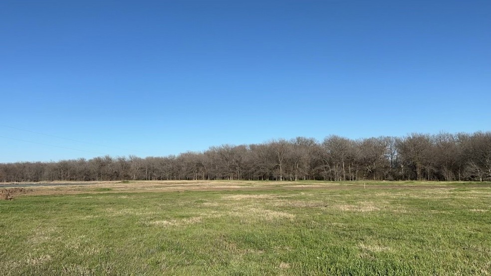 Lot 8 Grison Cir, Corsicana, TX 75109 - photo 1