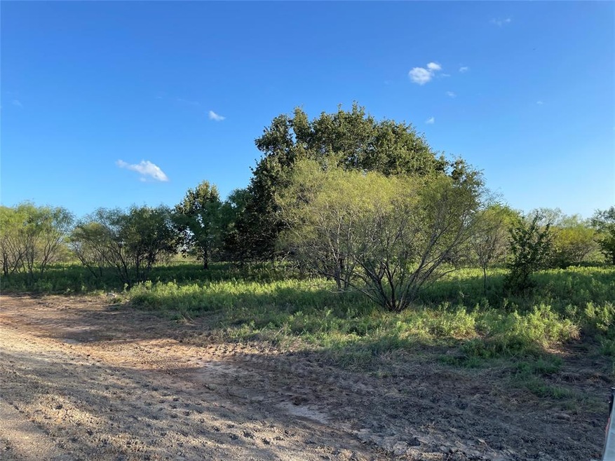 140 Tobiano Trace, Brock, TX 76087 - photo 1