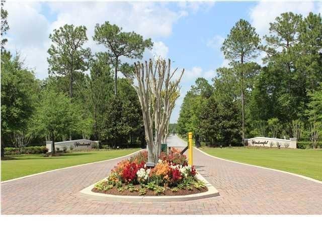 Windswept entry head on