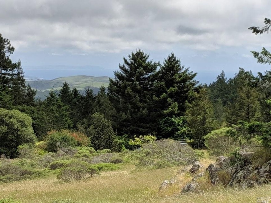 Ocean view from upper meadow.