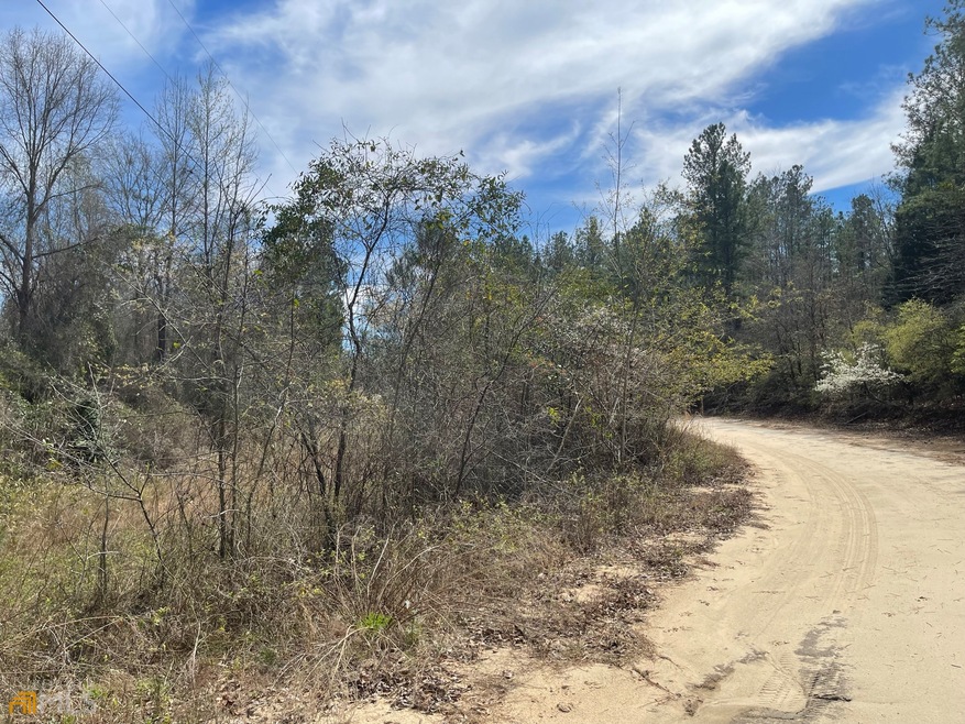 0 Purple Rd unit 10139112, Byron, GA 31008 - photo 1