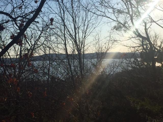 Lot 26 Briar Hill, Ruth B Rural Township, MO 65686 - photo 1