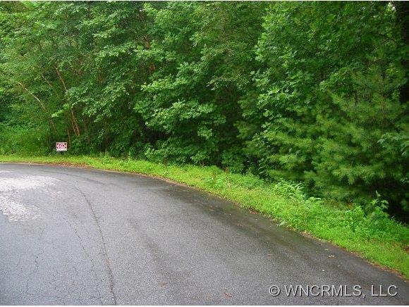 0 Benjamin Way unit 41, Hendersonville, NC 28792 - photo 1