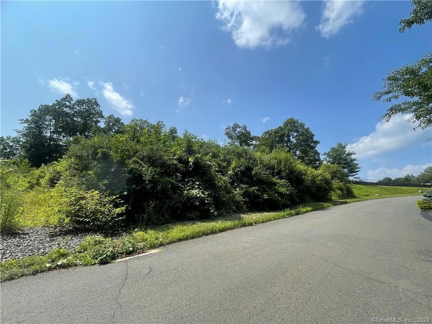 20 Pine Ledge Trail, Durham, CT 06422 - photo 1