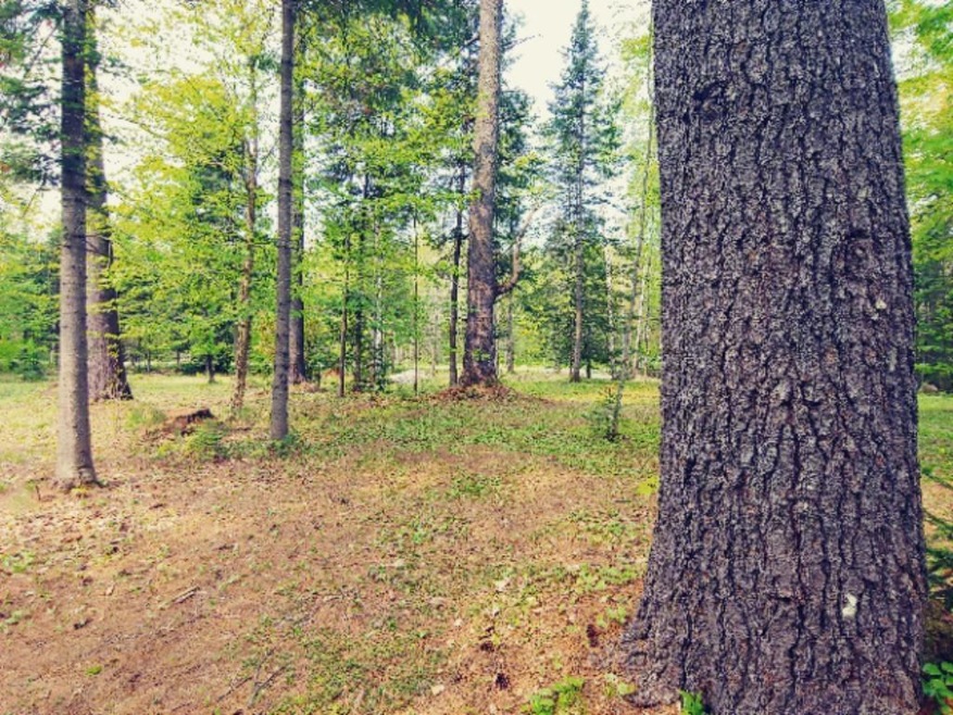 20190531_102423_HDRMLS