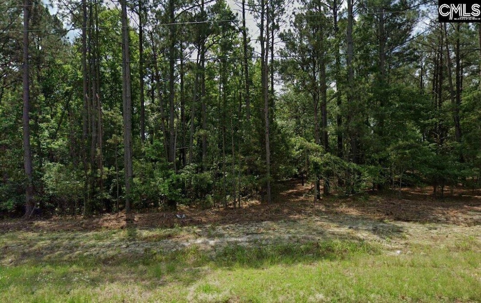 921 Jackson Rd, Ridgeway, SC 29130 - photo 1