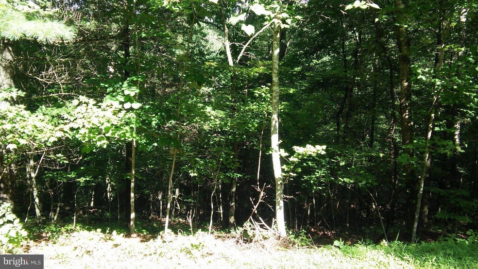 0 Anderson Rd unit VASH120960, Basye, VA 22810 - photo 1