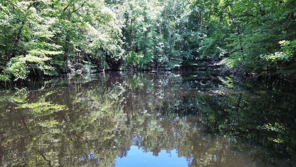 Highway 25, Fulton, MS 38843 - photo 1