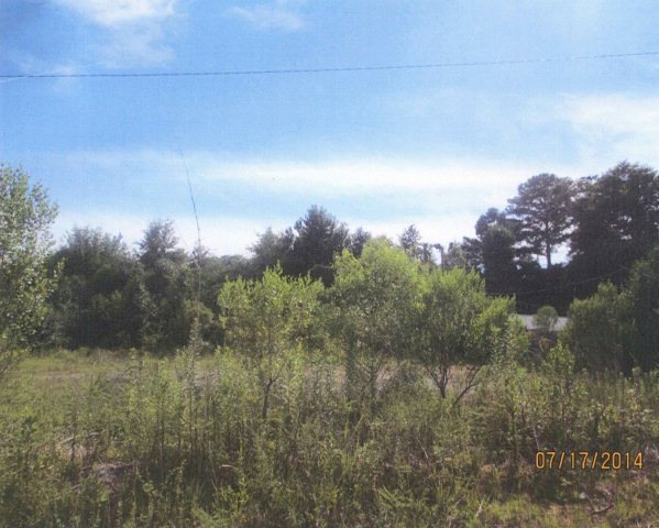 Primary Photo