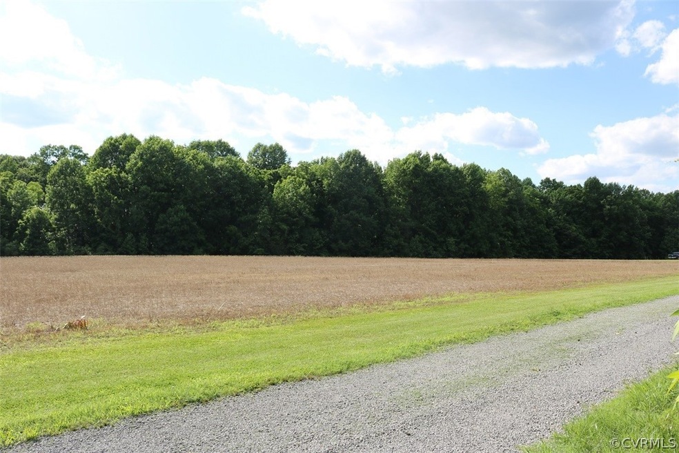 10610 County Dr, Disputanta, VA 23842 - photo 1