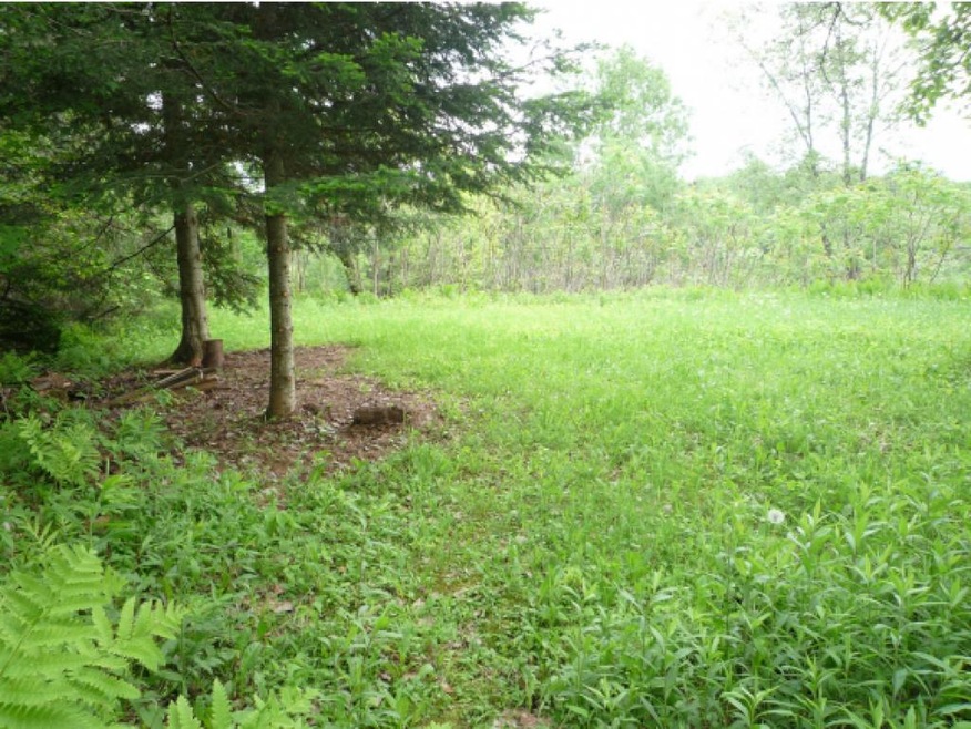 0 Vermont 102, Guildhall, VT 05905 - photo 1