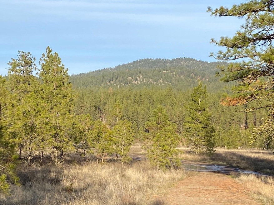View to the East