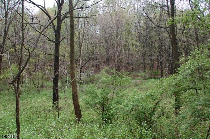 14 U S 46, Oxford, NJ 07863 - photo 1