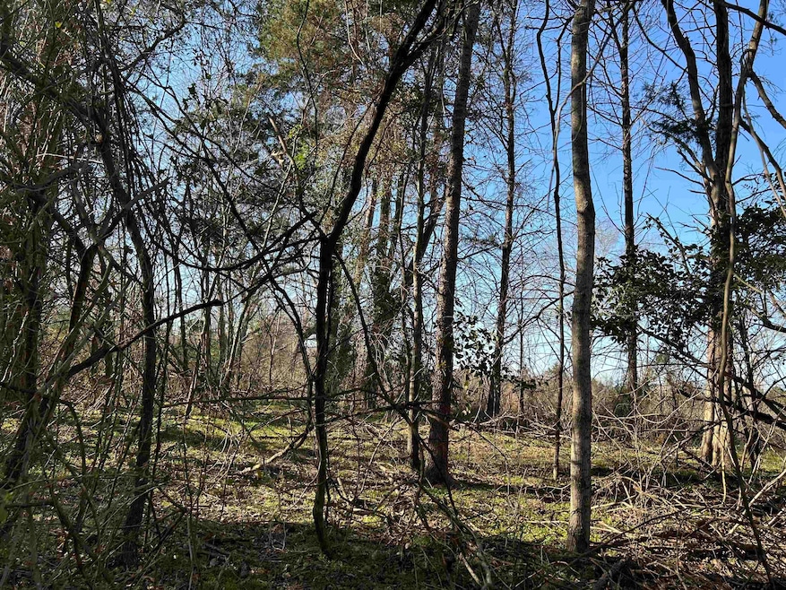 TBD County Road 3324, Pittsburg, TX 75686 - photo 1