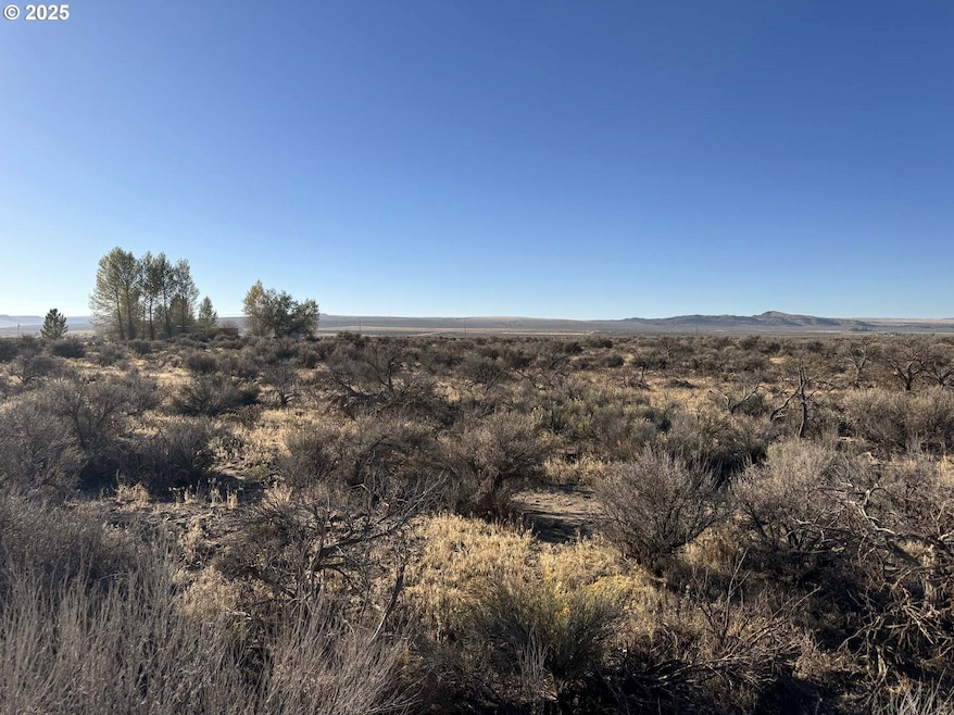 0 SE Pinion Ln unit 228511914, Christmas Valley, OR 97641 - photo 1