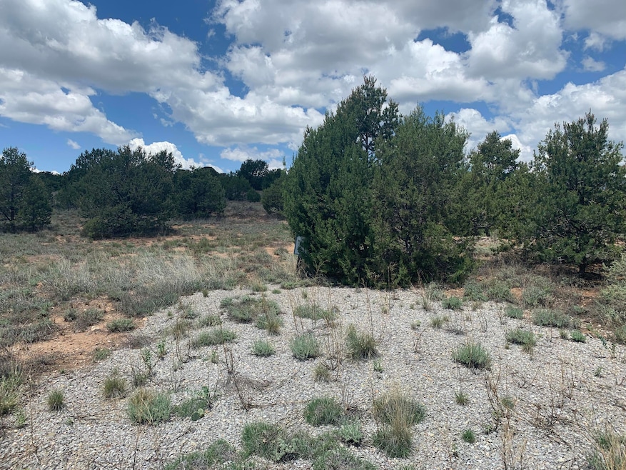 7 Nature Pointe Dr, Tijeras, NM 87059 - photo 1