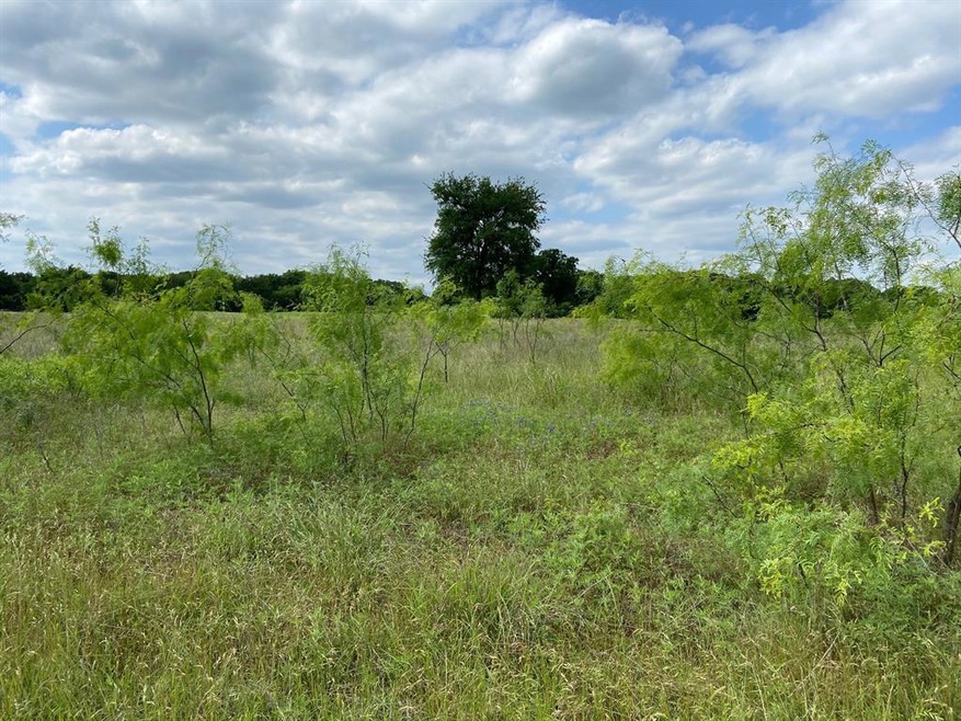 17028 Trailwood Dr, Whitney, TX 76692 - photo 1