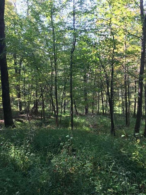 221 Tow Path Rd, Accord, NY 12404 - photo 1