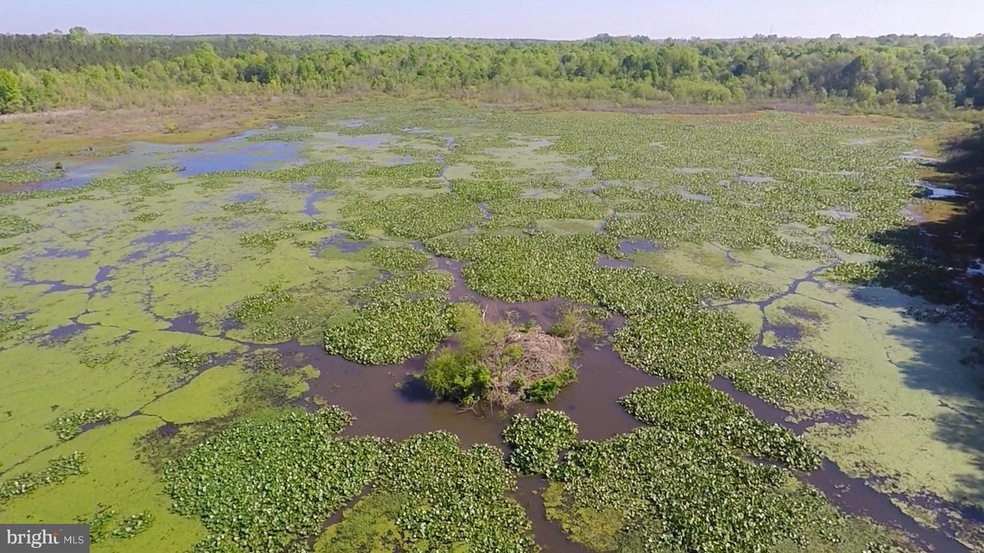 0 Unknown unit VALA2000024, Louisa, VA 23093 - photo 1