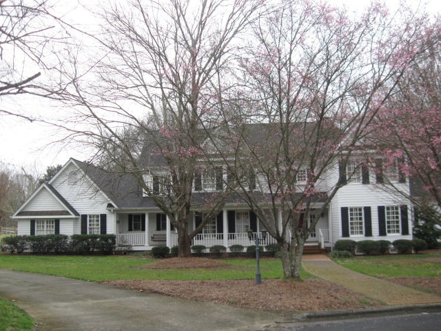 Main View