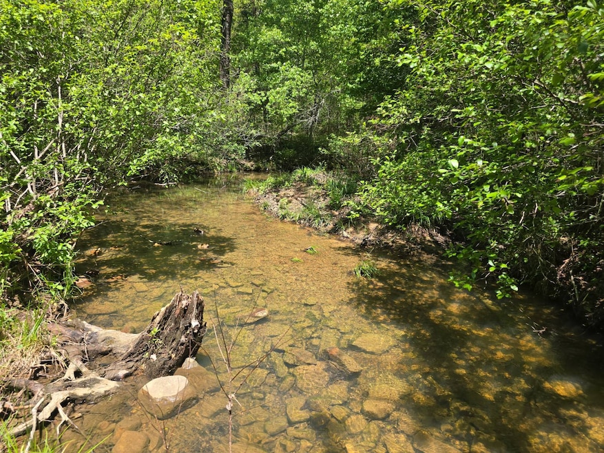 TR 18&19 Long Creek Pass, Albion, OK 74571 - photo 1