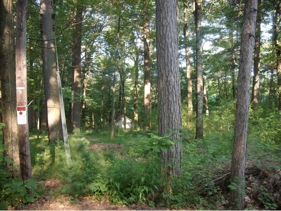 N2911 Otter Dr, Waupaca, WI 54981 - photo 1