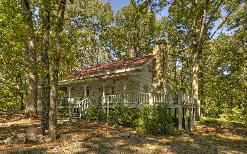 Main View