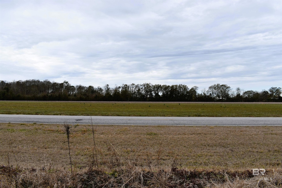 0 Daugherty Rd unit Lot 2, Foley, AL 36535 - photo 1