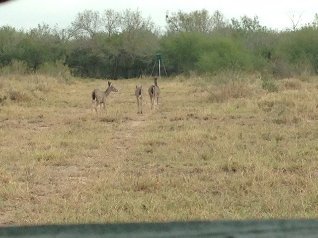0 Tx State Hwy 359 unit 20162419, Webb County, TX 78040 - photo 1