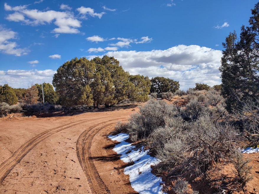 Approach to the lot from the west.  This is the northwest corner.