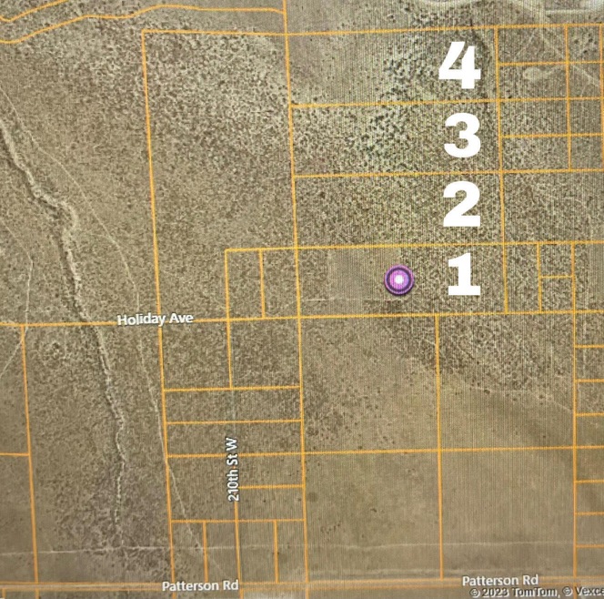 210th Holiday Ave, Rosamond, CA 93560 - photo 1