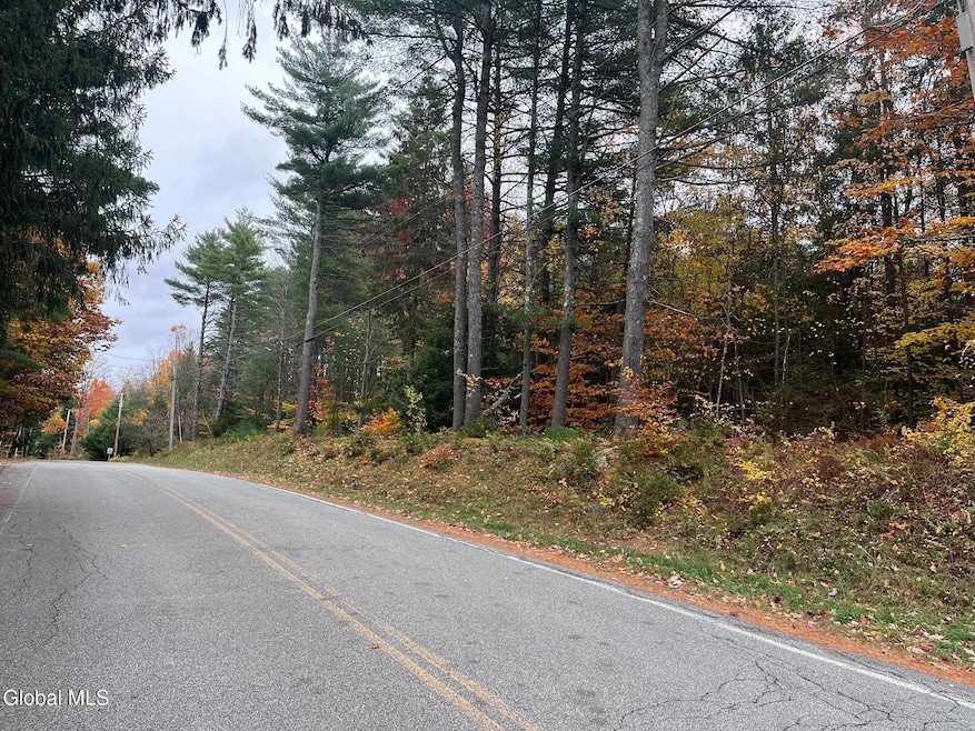 L34 Truesdale Hill Rd, Lake George, NY 12845 - photo 1