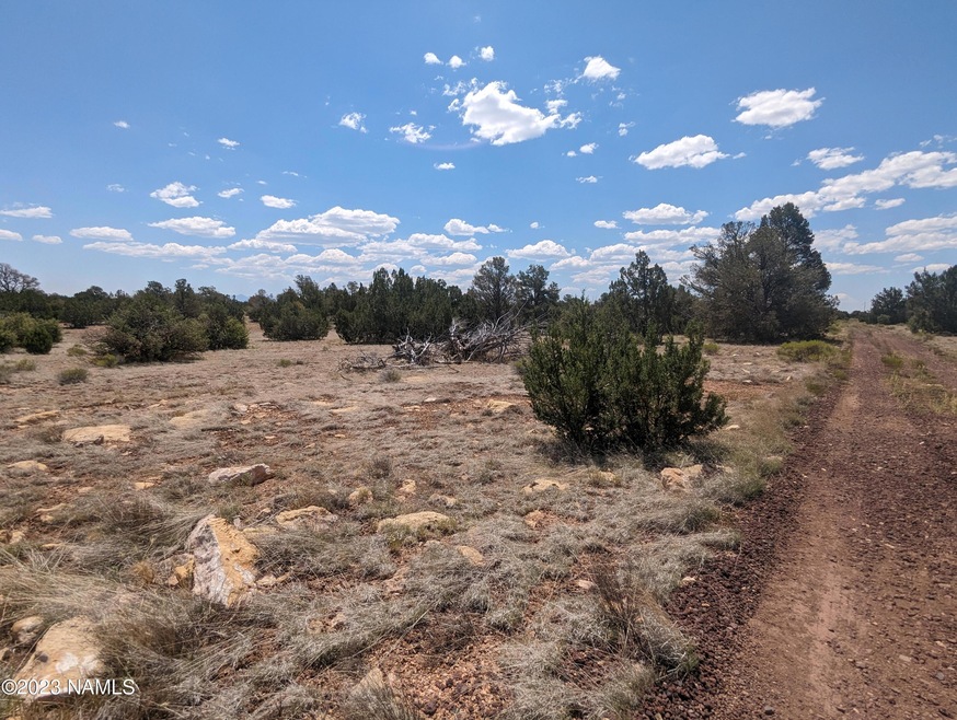 PXL_20230702_180611207
