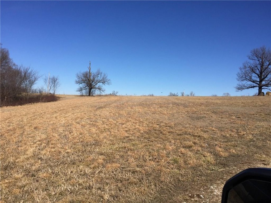 54.42 AC Butler St, Prairie Grove, AR 72753 - photo 1