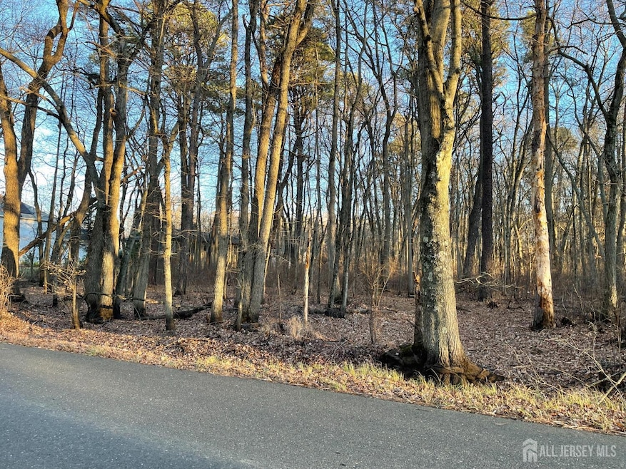 35 Birch St, Old Bridge, NJ 08857 - photo 1