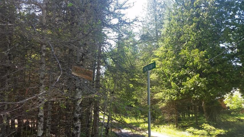 Wooded corner parcel