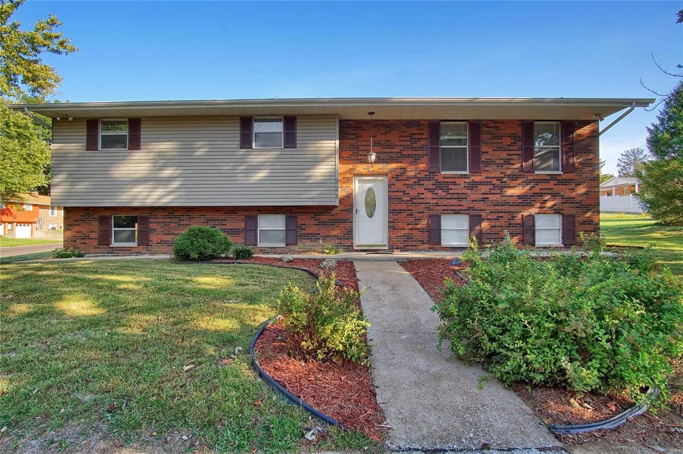 921 Borri Dr, Maryville, IL 62062 - photo 1