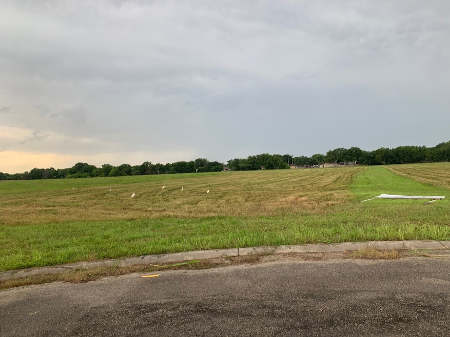 703 Damascus St, Rosenberg, TX 77471 - photo 1