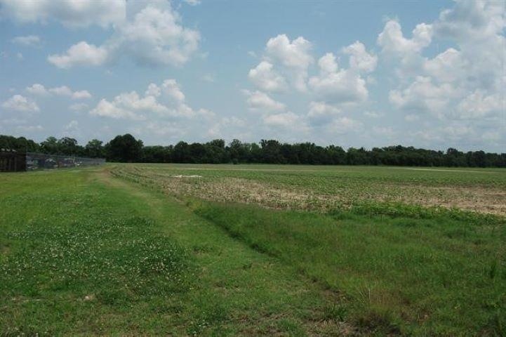 View of local wilderness with a rural view