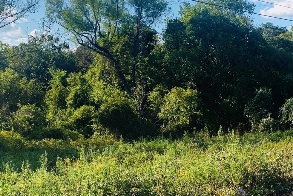 2-Acres of wonderful Bastrop Land!