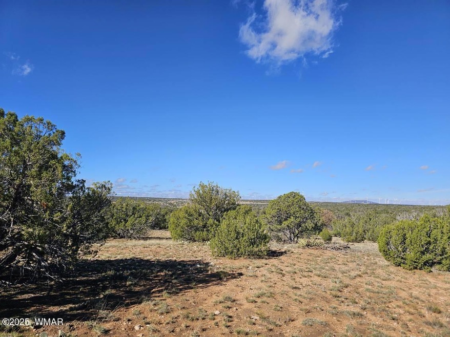0 unit 258851, Heber, AZ 85928 - photo 1
