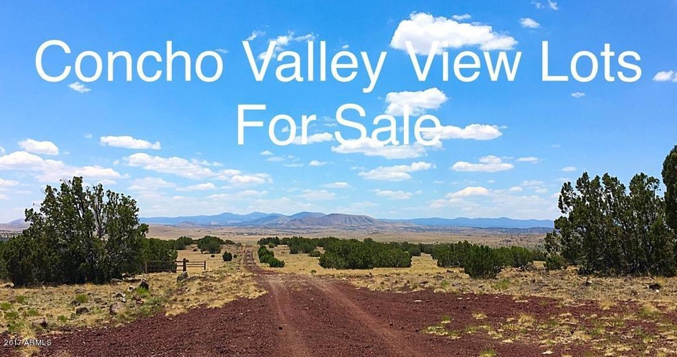 Concho Valley Lots For Sale